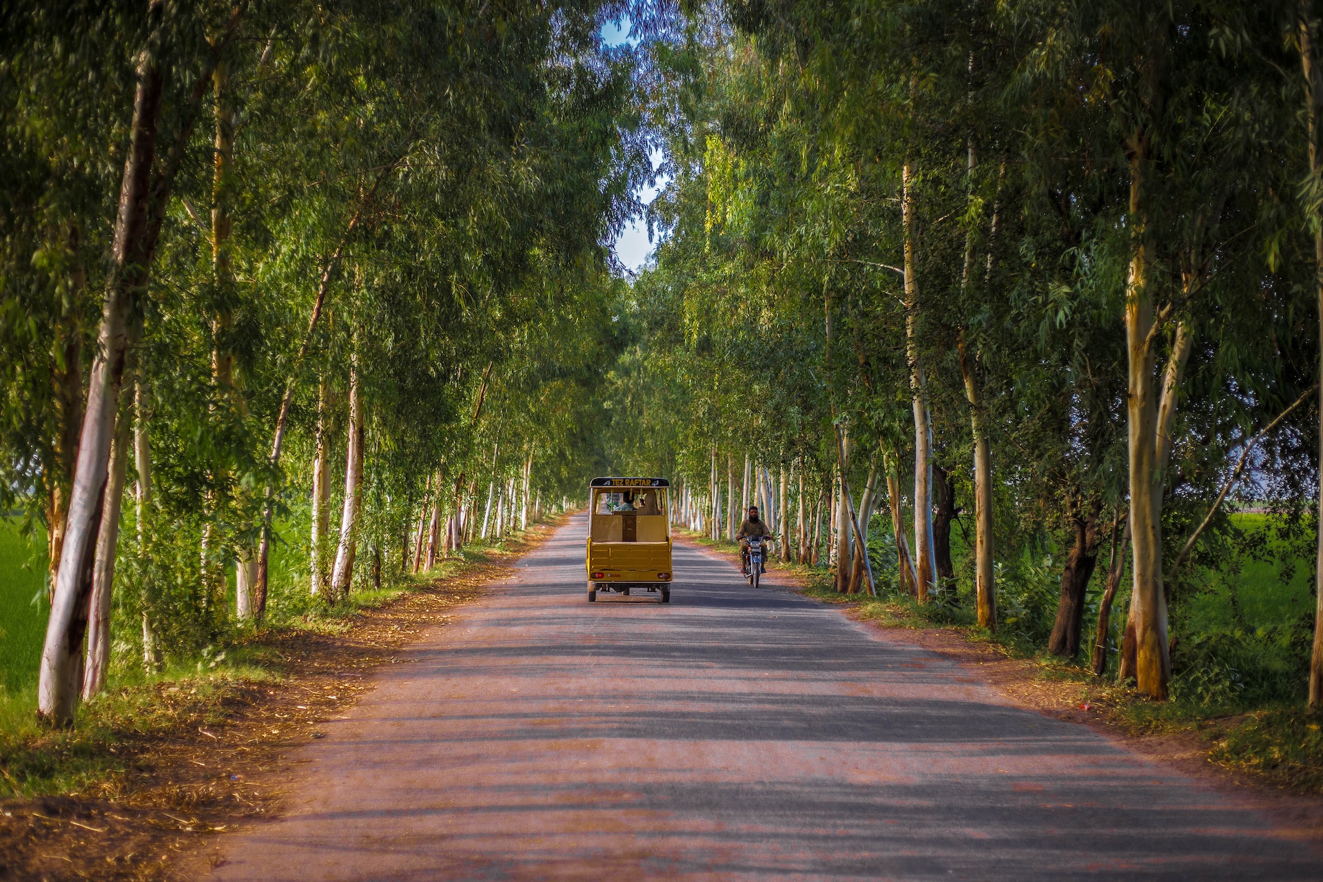 An image of rural area in Punjab